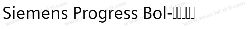 Siemens Progress Bol字体转换